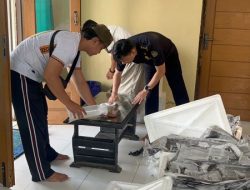 Polres Pesisir Barat Ungkap Kasus Penyelundupan Benih Lobster, Perkara Naik Sidik Pelaku Lain Masih Dikejar