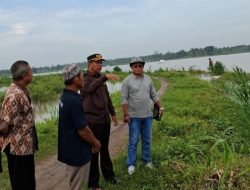 Ribuan Hektare Sawah di Mekar Mulya Lampung Selatan Terendam