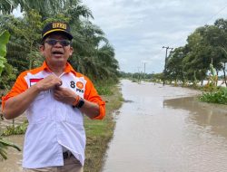 Tinjau Banjir di Lampung Timur, Yusnadi Harapkan Pembangunan Tanggul