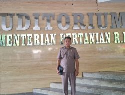 Singkong Jadi Pangan Nasional dan Petani Dapat Pupuk Subsidi