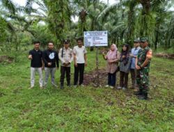 Talang Padang Gerakkan BUMDes untuk Peternakan Ayam Petelur
