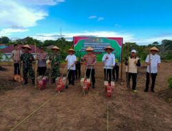 Tanam Jagung Serentak, Polres Kaur Gas Swasembada