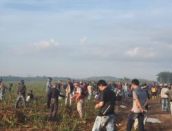 Tiga Kampung Klaim Tanah Adat, Tanami Lahan Perusahaan