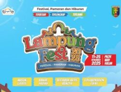 Lampung Fest, Panggung Besar yang Sepi Pemain