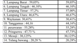 Jalan di Lampung, Mulus di Atas Retak di Bawah