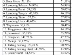 Jalan di Lampung, Mulus di Atas Retak di Bawah