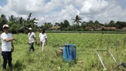 Koperasi IJP Maju Sejahtera Gandeng Kelompok Tani Lampung Timur