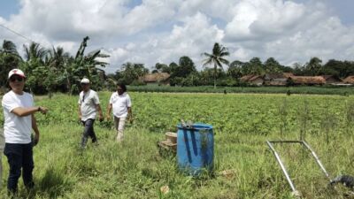 Koperasi IJP Maju Sejahtera Gandeng Kelompok Tani Lampung Timur
